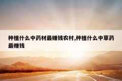 <b>��ֲʲô��ҩ����׬Ǯũ��,��ֲʲô�в�ҩ��׬Ǯ</b>