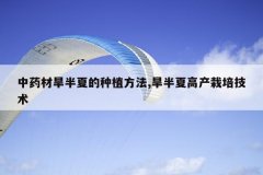 <b>��ҩ�ĺ����ĵ���ֲ����,�����ĸ߲����༼��</b>