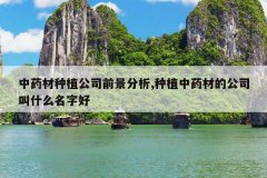 <b>��ҩ����ֲ��˾ǰ������,��ֲ��ҩ�ĵĹ�˾��ʲô���ֺ�</b>