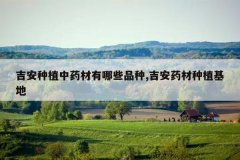 <b>������ֲ��ҩ������ЩƷ��,����ҩ����ֲ����</b>