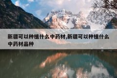 <b>�½�������ֲʲô��ҩ��,�½�������ֲʲô��ҩ��Ʒ��</b>