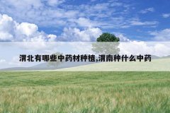 <b>μ������Щ��ҩ����ֲ,μ����ʲô��ҩ</b>
