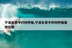 <b>����������ҩ����ֲ,����������ҩ����ֲ��������</b>