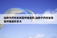<b>������ҩ�Ľ�������ֲ���,������ҩ�Ľ�������ֲ������</b>