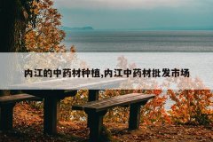 <b>�ڽ�����ҩ����ֲ,�ڽ���ҩ�������г�</b>