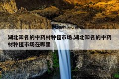 <b>����֪������ҩ����ֲ�г�,����֪������ҩ����ֲ�г�������</b>
