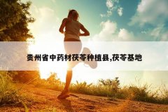 <b>����ʡ��ҩ��������ֲ��,���߻���</b>
