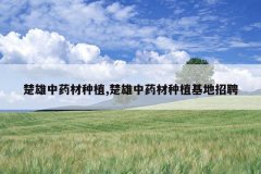 <b>������ҩ����ֲ,������ҩ����ֲ������Ƹ</b>