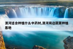 <b>����ʺ���ֲʲô��ҩ��,����ܱ��߲���ֲ����</b>
