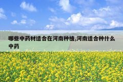 <b>��Щ��ҩ���ʺ��ں�����ֲ,�����ʺ���ʲô��ҩ</b>