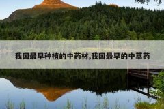 <b>�ҹ�������ֲ����ҩ��,�ҹ�������в�ҩ</b>