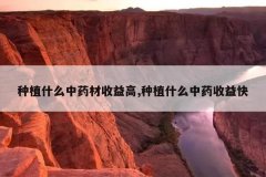 <b>��ֲʲô��ҩ�������,��ֲʲô��ҩ�����</b>
