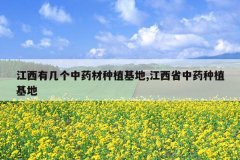 <b>�����м�����ҩ����ֲ����,����ʡ��ҩ��ֲ����</b>
