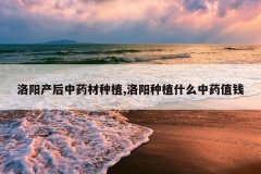 <b>����������ҩ����ֲ,������ֲʲô��ҩֵǮ</b>