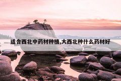 <b>�ʺ�������ҩ����ֲ,��������ʲôҩ�ĺ�</b>