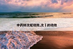 <b>��ҩ�Ĵ��߹�Ч,���s�Ĺ�Ч</b>