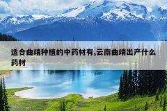 <b>�ʺ�������ֲ����ҩ����,������������ʲôҩ��</b>