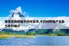 <b>���������ֲ��ҩ������,��ҩ����ֲ��ҵ�����������</b>