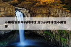 <b>���ÿ��ܵ���ҩ����ֲ,ʲôҩ����ֲ���ù���</b>