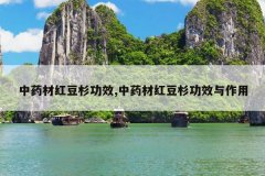 <b>��ҩ�ĺ춹ɼ��Ч,��ҩ�ĺ춹ɼ��Ч������</b>