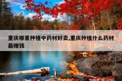 <b>����������ֲ��ҩ�ĺ���,������ֲʲôҩ����׬Ǯ</b>