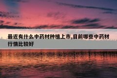 <b>�����ʲô��ҩ����ֲ����,Ŀǰ��Щ��ҩ������ȽϺ�</b>
