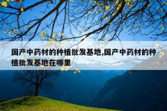 <b>������ҩ�ĵ���ֲ��������,������ҩ�ĵ���ֲ��������������</b>