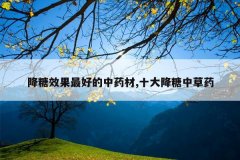 <b>����Ч����õ���ҩ��,ʮ�����в�ҩ</b>