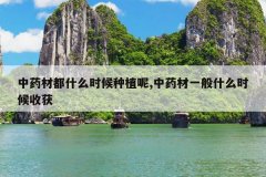 <b>��ҩ�Ķ�ʲôʱ����ֲ��,��ҩ��һ��ʲôʱ���ջ�</b>