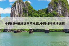 <b>��ҩ����ֲ��ѵѧԺ�绰,��ҩ����ֲ��ѵ��</b>