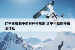 <b>����ʡ��Դ��ҩ����ֲ����,�����в�ҩ��ֲ������</b>