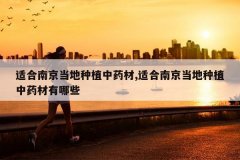 <b>�ʺ��Ͼ�������ֲ��ҩ��,�ʺ��Ͼ�������ֲ��ҩ������Щ</b>