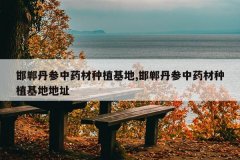 <b>����������ҩ����ֲ����,����������ҩ����ֲ���ص�ַ</b>