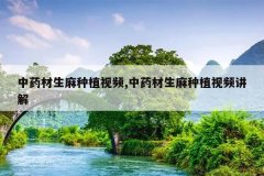 <b>��ҩ��������ֲ��Ƶ,��ҩ��������ֲ��Ƶ����</b>