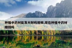 <b>��ֲ��ҩ���ܷ��������Ƶ,������ֲ��ҩ��׬Ǯ��</b>