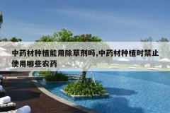 <b>��ҩ����ֲ���ó��ݼ���,��ҩ����ֲʱ��ֹʹ����Щũҩ</b>