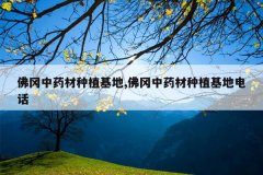 <b>�����ҩ����ֲ����,�����ҩ����ֲ���ص绰</b>