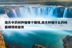 <b>�Ϸ���ҩ����ֲ�ĸ�׬Ǯ,�Ϸ���ֲʲôҩ����׬Ǯ�����</b>