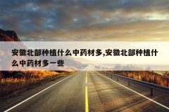 <b>���ձ�����ֲʲô��ҩ�Ķ�,���ձ�����ֲʲô��ҩ�Ķ�һЩ</b>