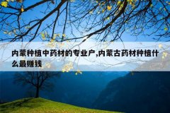 <b>������ֲ��ҩ�ĵ�רҵ��,���ɹ�ҩ����ֲʲô��׬Ǯ</b>