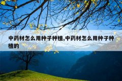 <b>��ҩ����ô��������ֲ,��ҩ����ô��������ֲ��</b>