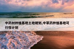 <b>��ҩ����ֲ�������ع滮,�в�ҩ��ֲ���ؿ����Լƻ�</b>