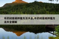 <b>��ҩ�Ĳ����ֲ������ȫ,��ҩ�Ĳ����ֲ������ȫͼ��</b>