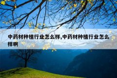 <b>��ҩ����ֲ��ҵ��ô��,��ҩ����ֲ��ҵ��ô����</b>