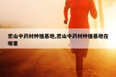 <b>��ɽ��ҩ����ֲ����,��ɽ��ҩ����ֲ����������</b>