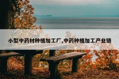 <b>С����ҩ����ֲ�ӹ���,��ҩ��ֲ�ӹ���ҵ��</b>