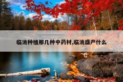 <b>�����ֲ�Ǽ�����ҩ��,���ʢ��ʲô</b>