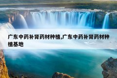 <b>�㶫��ҩ����ҩ����ֲ,�㶫��ҩ����ҩ����ֲ����</b>