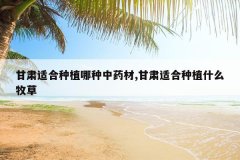 <b>�����ʺ���ֲ������ҩ��,�����ʺ���ֲʲô����</b>