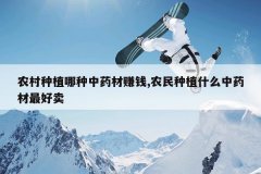 <b>ũ����ֲ������ҩ��׬Ǯ,ũ����ֲʲô��ҩ�������</b>